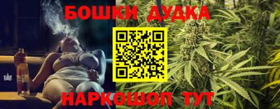 сатива Беслан