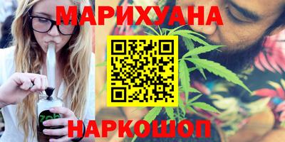 сатива Беслан