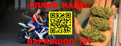 сатива Беслан
