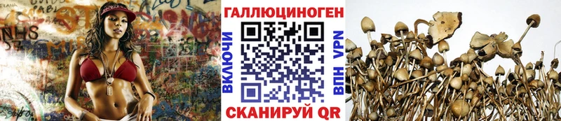 Псилоцибиновые грибы Psilocybe  MEGA как зайти  Елец 