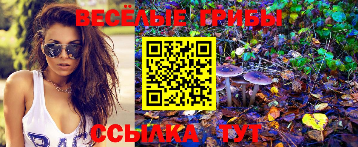 Псилоцибиновые грибы Magic Shrooms Елец