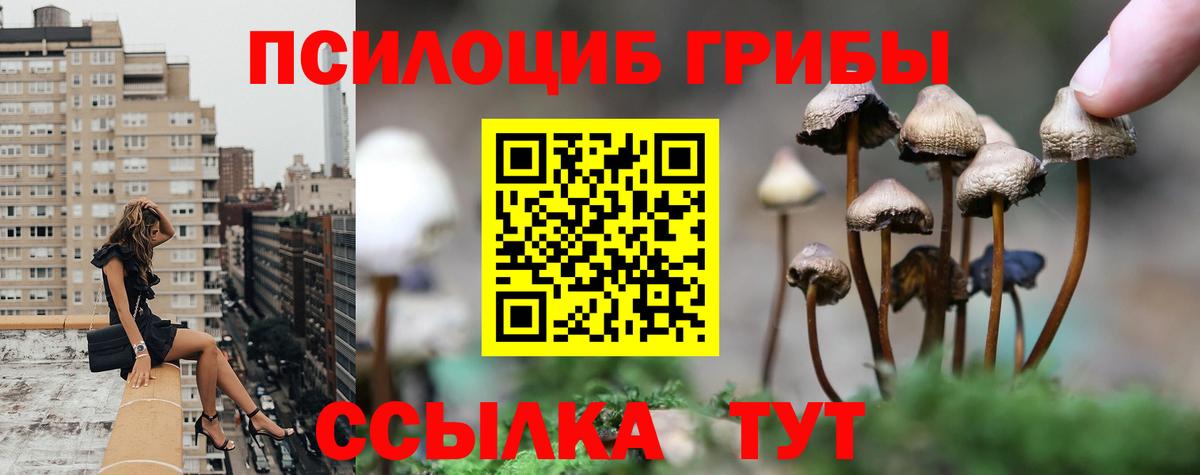 Псилоцибиновые грибы MAGIC MUSHROOMS  где найти   Галлюциногенные грибы Psilocybe  Елец 