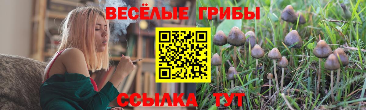 Галлюциногенные грибы GOLDEN TEACHER Елец
