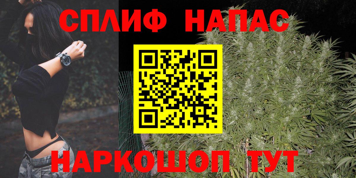 Канабис ГИДРОПОН Елец